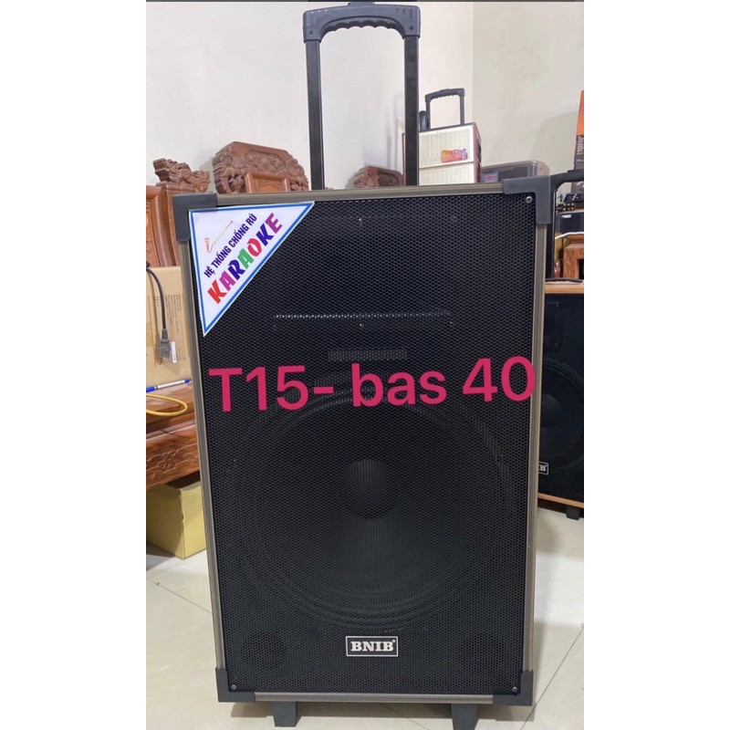 [2021]Loa Kéo T15A BNIB Bass 40 Âm thanh tinh khiết, sống động, kèm 2 mic Wireless, kèm khiển từ xa