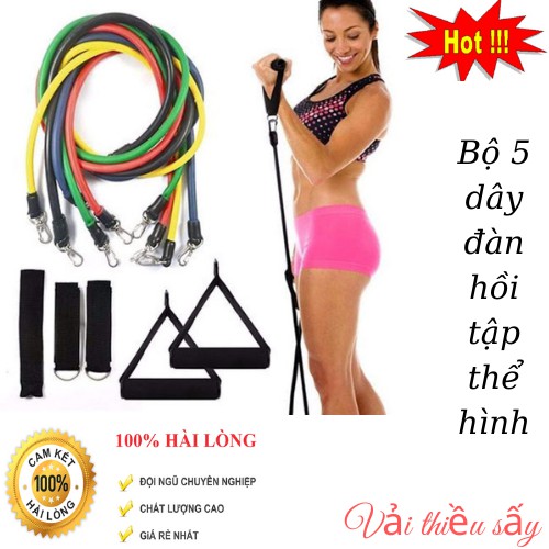 Bộ Dây Ngũ Sắc Tập Thể Hình Đa năng, Bộ 5 Dây Tập GYM Đàn Hồi Loại Cao Cấp, Co Giãn Hỗ Trợ Tập YOGA