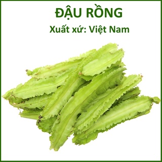 Hạt giống đậu rồng cao sản - đậu rồng bốn mùa
