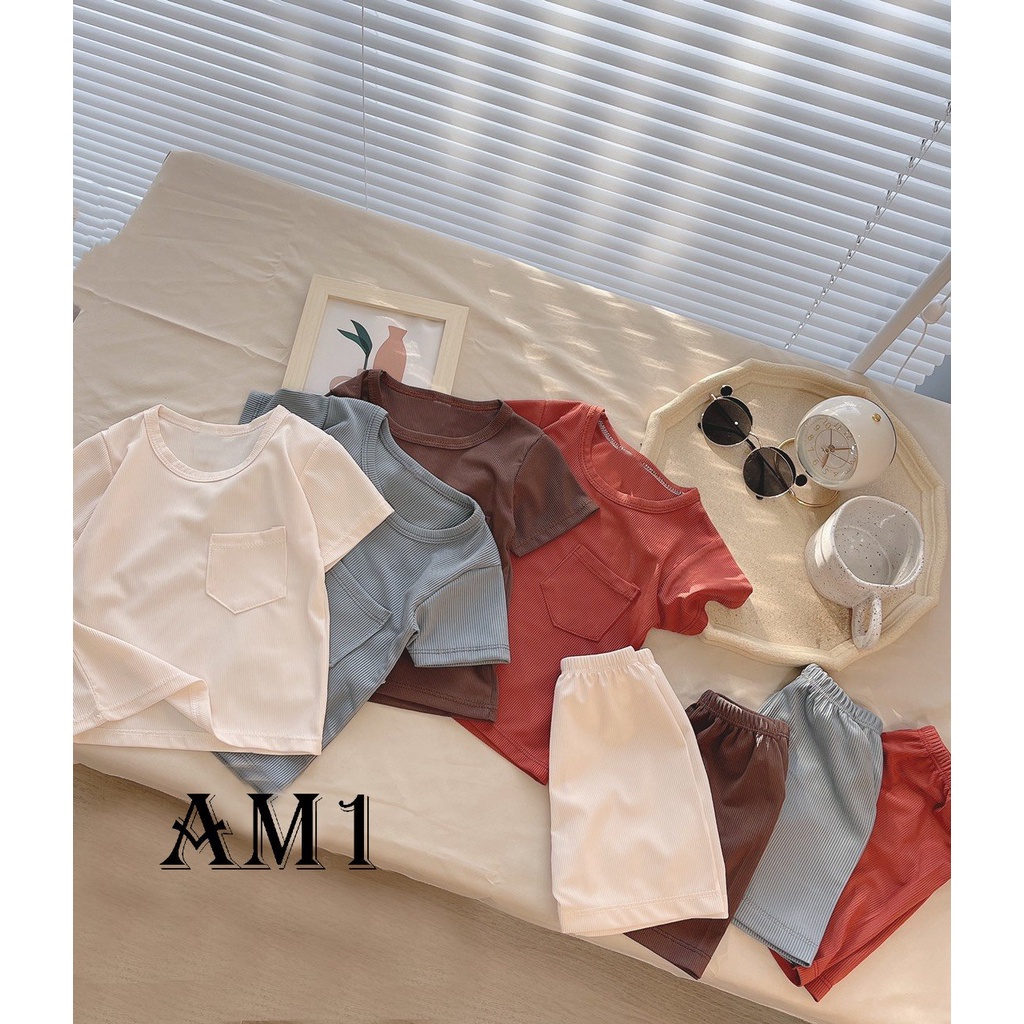 Đồ bộ bé sơ sinh tới 18kg - bộ quần áo trẻ em cộc tay AM950