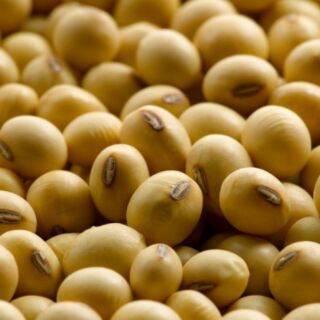 1kg đỗ tương đậu nành