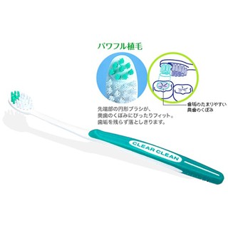 Bàn chải đánh răng người lớn Clear Clean KAO