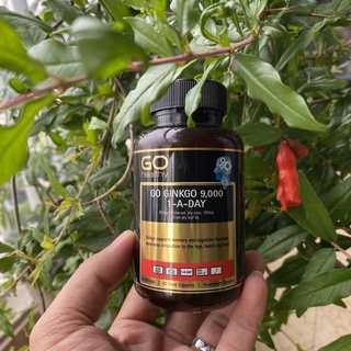 (Hàng Úc) Viên uống GO Healthy Ginkgo Biloba 9000 60 viên hàm lượng cao 9000mg, giúp bổ não hỗ trợ trí nhớ và tỉnh táo