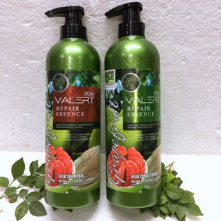 Bộ dầu gội xả bưởi xanh grape fruit repair hair 850ml pvn617