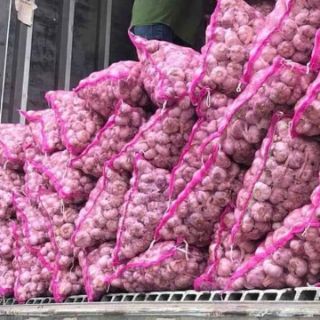 Tỏi tím 1kg