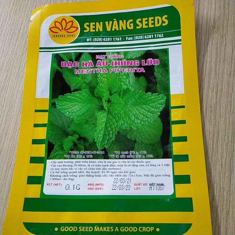 Hạt giống Bạc hà Âu