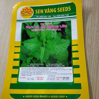 Hạt giống Bạc hà Âu