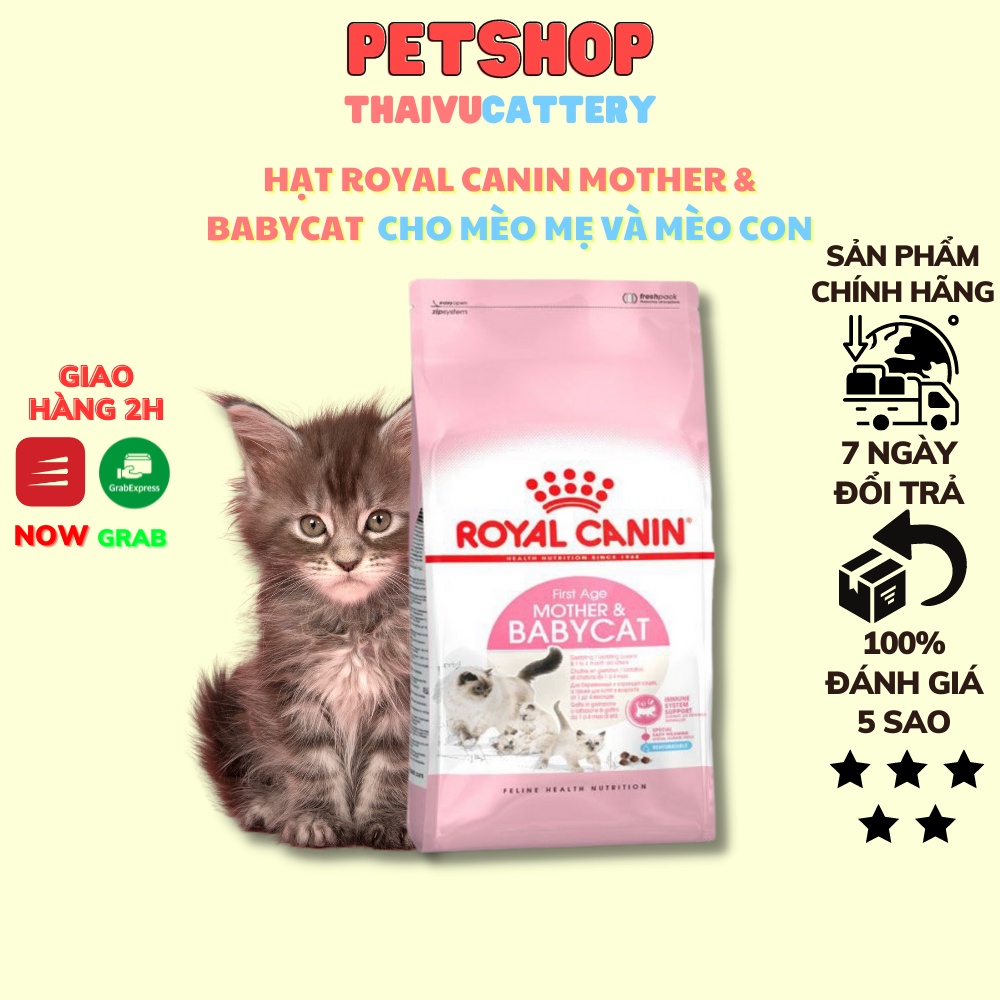 Hạt Royal cannin baby mother cat túi chiết 1kg