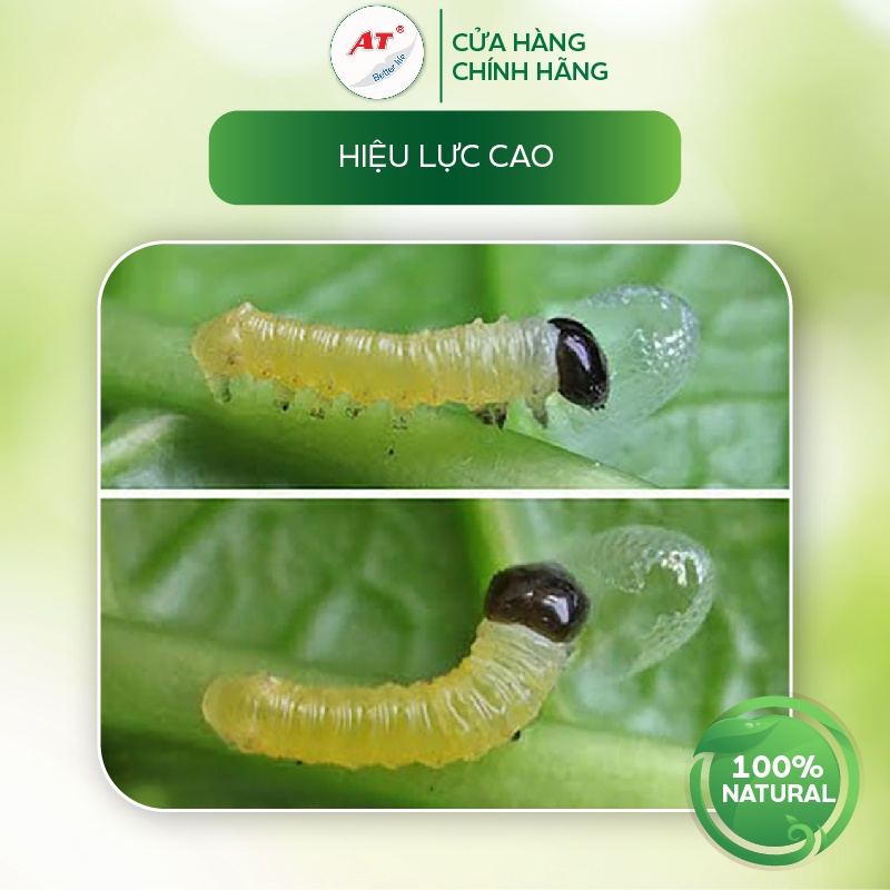 Chế phẩm tiêu diệt sâu sinh học AT Mebe đậm đặc 1kg diệt trừ sâu hại, rầy phấn trắng, rệp, bọ trĩ, sâu đục thân, bọ xít