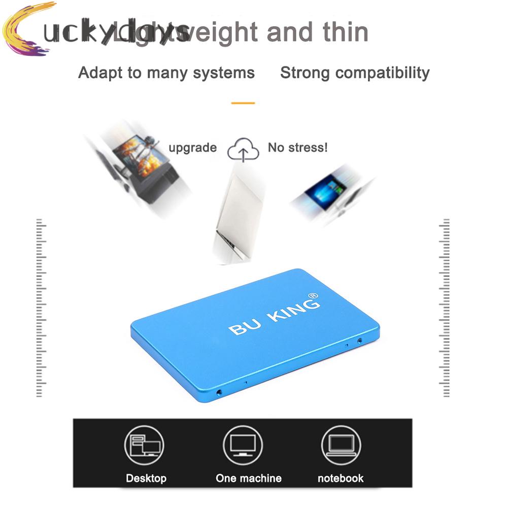 LUCKYDAYS BU KING 2.5 inch SATAIII Internal Solid State Drive Robot Head Pattern Blue | BigBuy360 - bigbuy360.vn