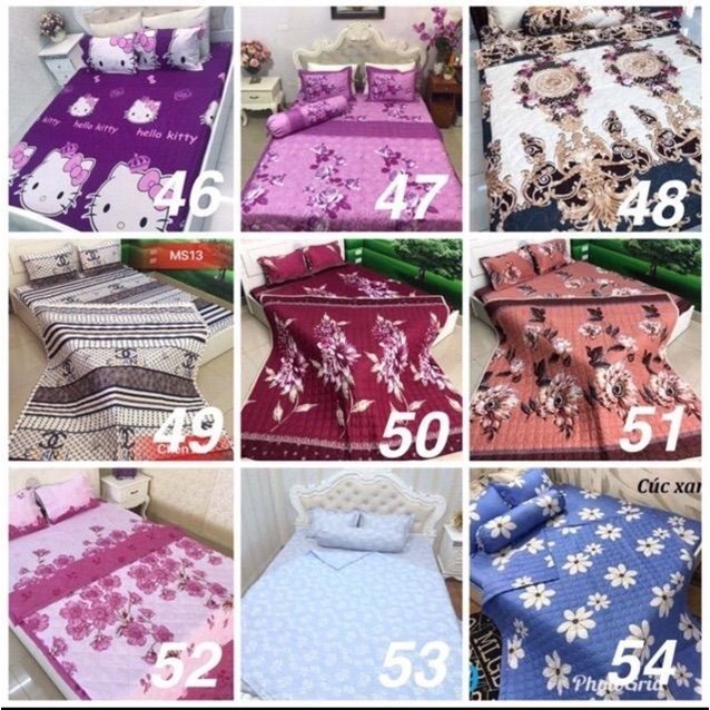 Bộ ga giường cotton 3 món ga bọc thun - Giao màu ngẫu nhiên