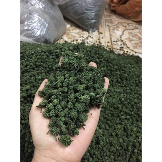 Nụ Tam thất (1000g)