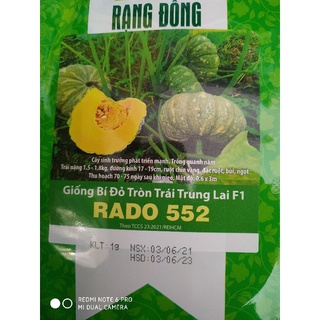 Hạt giống Bí đỏ tròn trái tầm trung lai F1 1gr