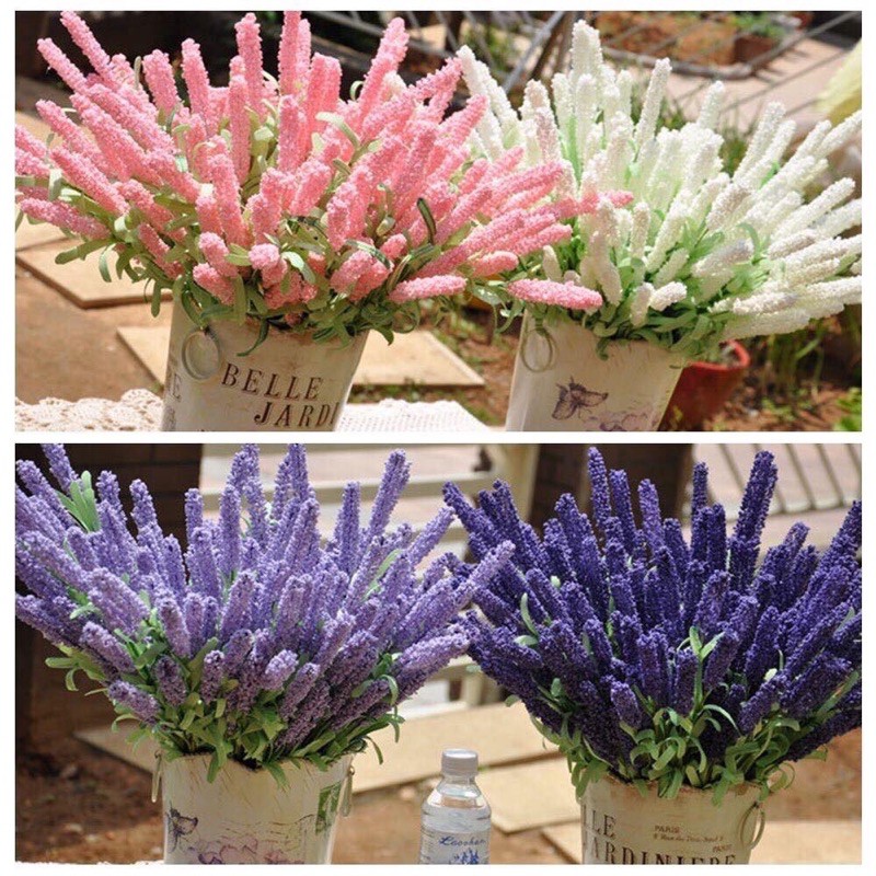 Cành hoa Lavender -oải hương siêu đẹp