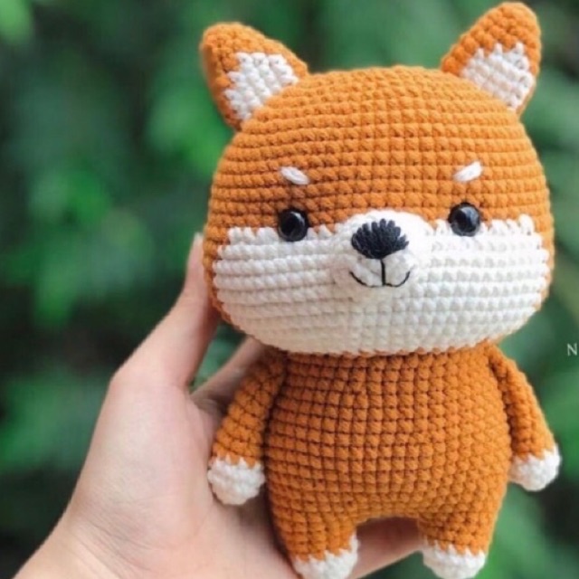 Chó Shiba size bé