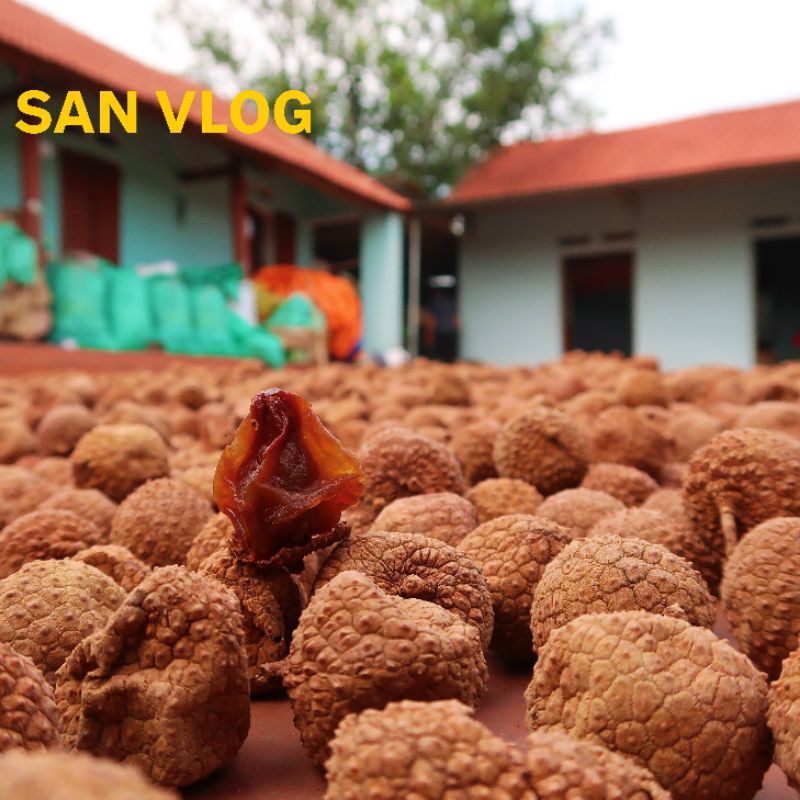 1kg VẢI Thiều Sấy Khô Đặc Sản Bắc Giang Loại Ngon  || Đồ Ăn Vặt || San Vlog