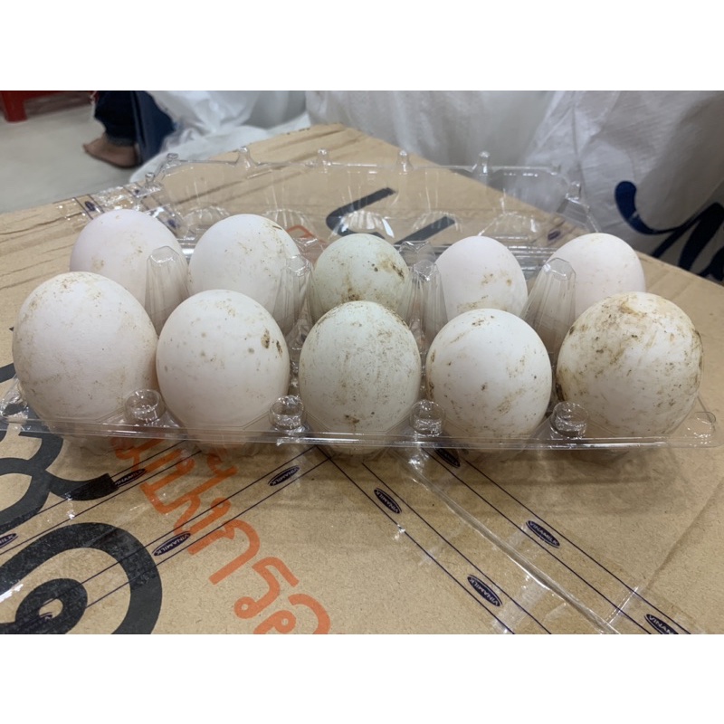 [QUẬN 5] TRỨNG GÀ - VỊT TƯƠI VỈ 10 | BigBuy360 - bigbuy360.vn