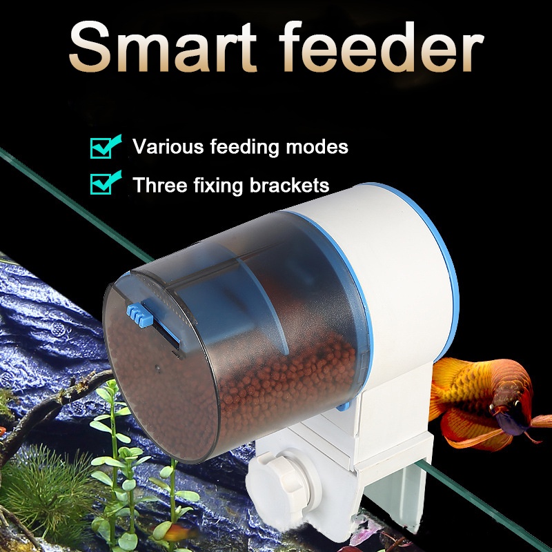 Thiết Bị Cho Cá Ăn Tự Động Hẹn Giờ