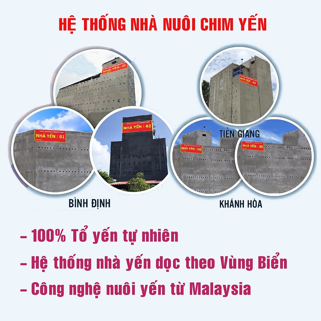 Tổ yến thô, Yến sào Trung Nam, Sản phẩm còn lông 100% tự nhiên nguyên chất, 30 gram /