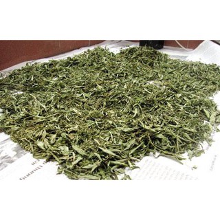 Lá đinh lăng nếp ( khô 1kg)