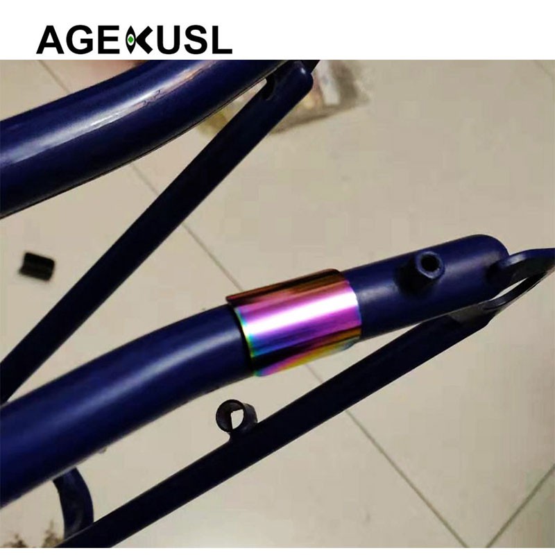 AGEKUSL Bike Metal Sticker Bảo vệ Khung sau cho Brompton 3sixty United Xe đạp gấp ba lần có thể gập lại 1Pc