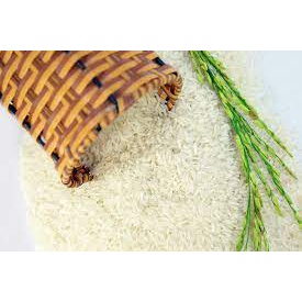 Gạo ST21- Đại Lý gạo A An tại Van Minh Shop