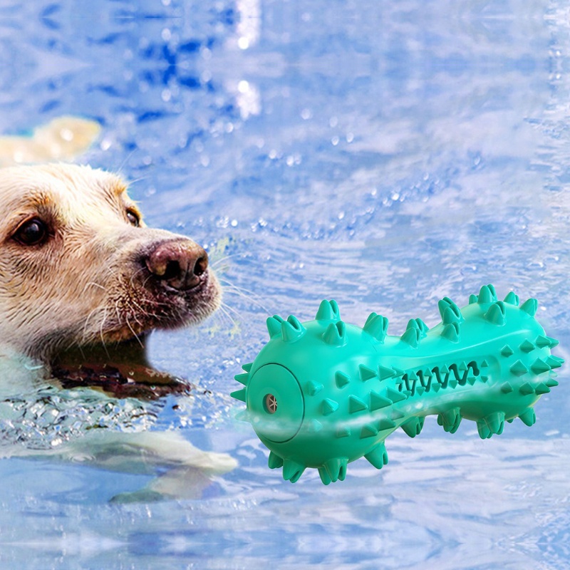 Đồ Chơi Nhai Gặm Cho Thú Cưng Cỡ Vừa Và Lớn