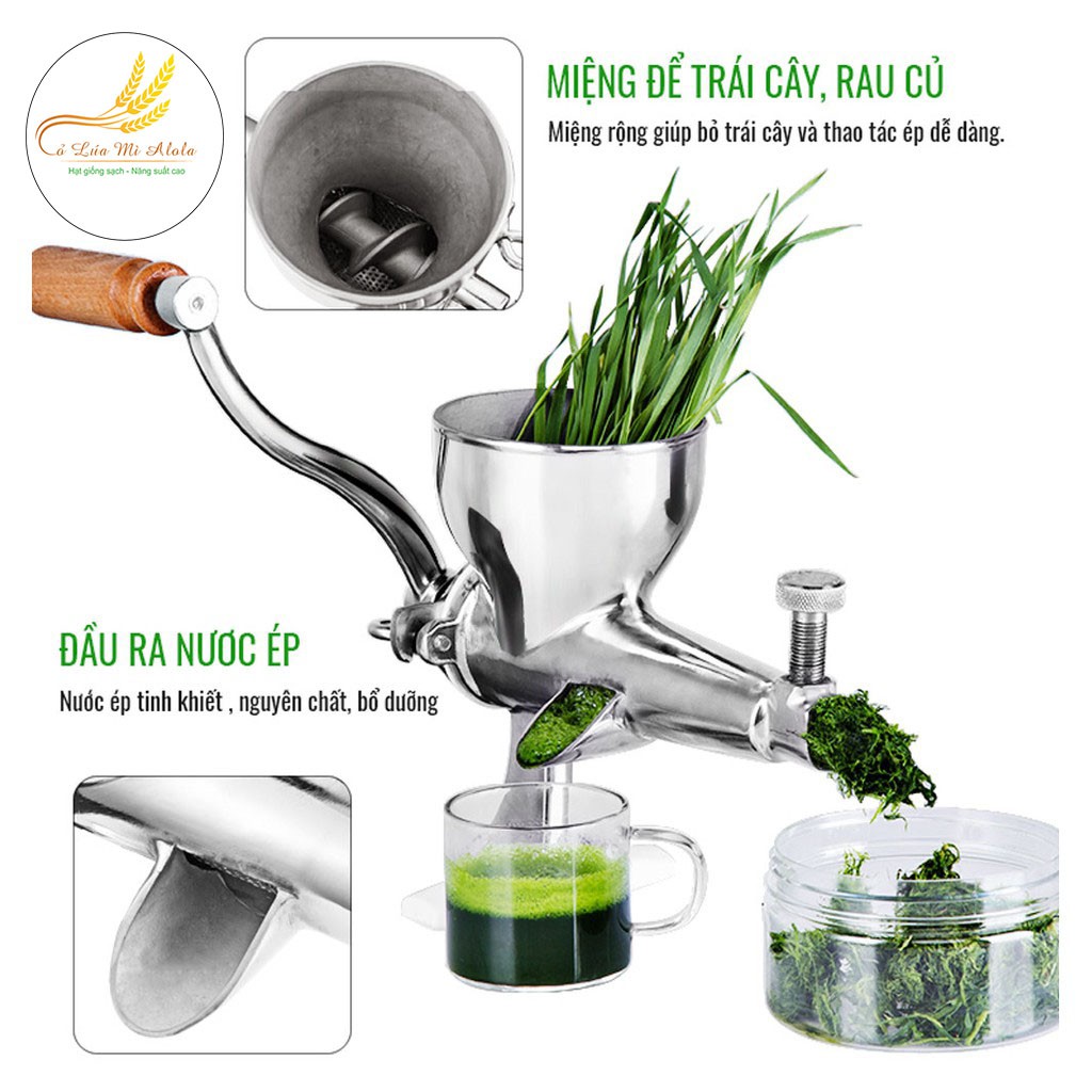 MÁY ÉP CHẬM CỎ LÚA MÌ BẰNG TAY MANUAL WHEATGRASS JUICER