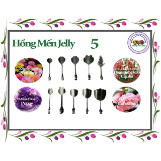 Bộ Kim size nhỏ làm thạch 3D 10 cây Hồng Mến Jelly