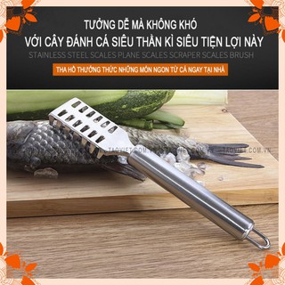 [Loại Tốt Nhất] Đánh vẩy cá bằng Inox Cao cấp