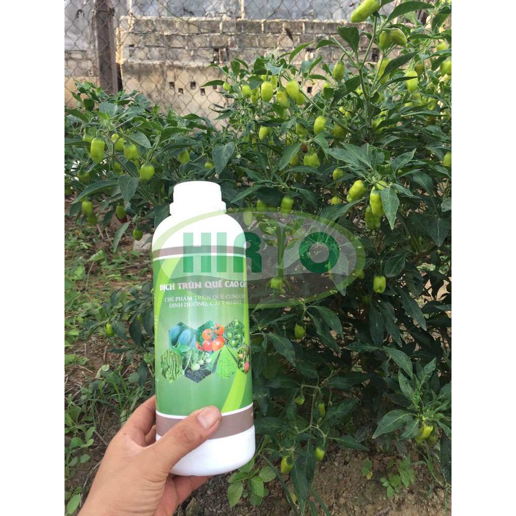 DỊCH TRÙN QUẾ 1000ML - BÓN CHO RAU