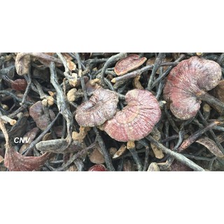 500gr nấm trúc chi rừng ( linh chi cổ cò )