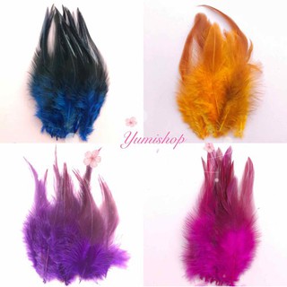 Lông Vũ  Nguyên Liệu Làm Các Món Phụ Kiện Thời Trang Phong Cách Cổ Điển Cá Tính Feather