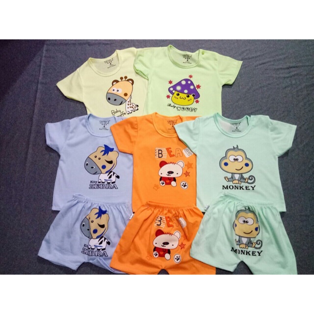 Combo bộ cộc catter con ngựa vàng