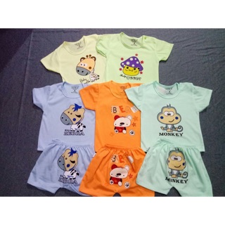 Combo bộ cộc catter con ngựa vàng