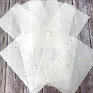Giấy lụa ép hoa lá set 10 tờ (006)