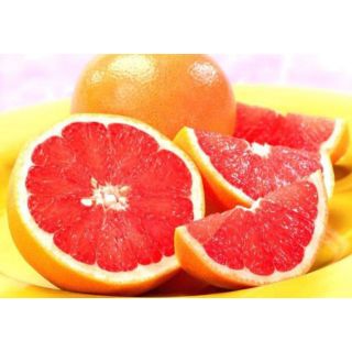 Cây cam cara giống ruột đỏ f1