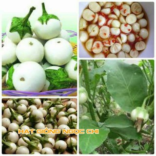Hạt Giống Quả Cà Pháo Trắng - 1Gr