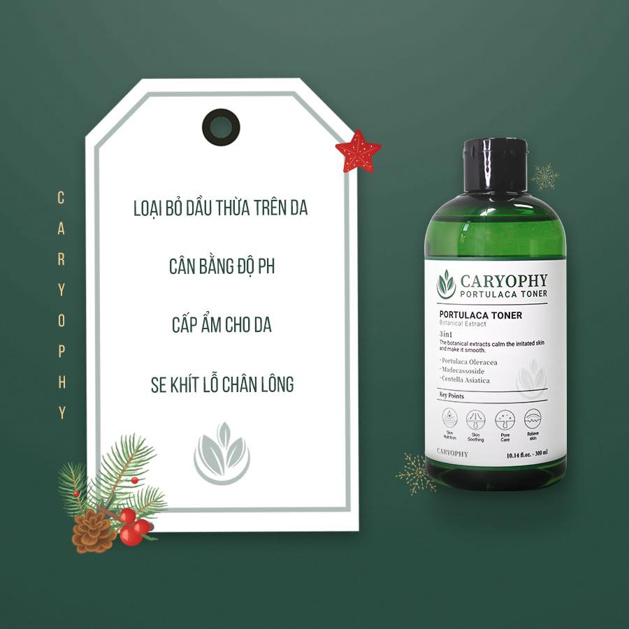 Toner cho da dầu da mụn da nhạy cảm da hỗn hợp thiên dầu Hàn Quốc Caryophy 300ml | BigBuy360 - bigbuy360.vn