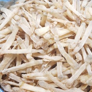 SÁ SÙNG LOẠI 1