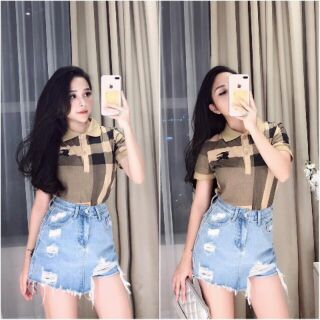 Áo thun bbr cổ bẻ