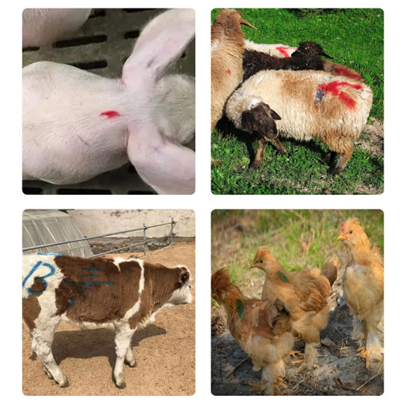 Bút đánh dấu cho heo đánh dấu lên thân để phân biệt, bút sáp đánh dấu thú y gia súc cho lợn màu sắc sáng không độc hại