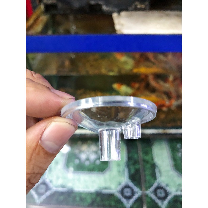 ĐẾ ĐỂ TRÁI CHÂU CHO HÒN NON BỘ ĐƯỜNG KÍNH 4CM