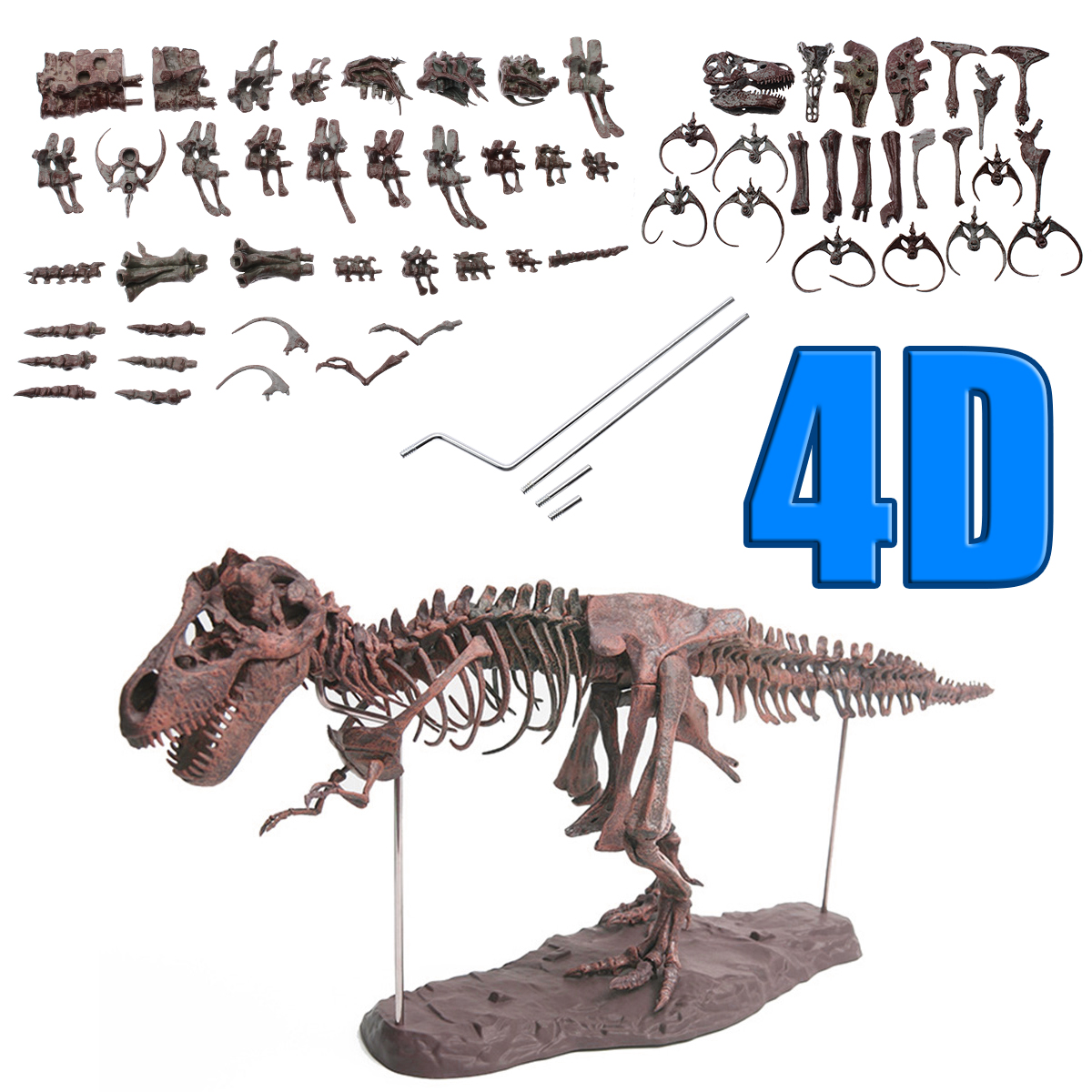 FOSSIL Mới Đồ trang trí Bộ Xương Khủng Long Tyrannosaurus Bằng Pvc Dùng Trang Trí Nhà Cửa