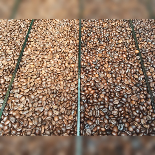 Cà phê GU Coffee - Mã số #1 - Gói 500g Nguyên Hạt | BigBuy360 - bigbuy360.vn