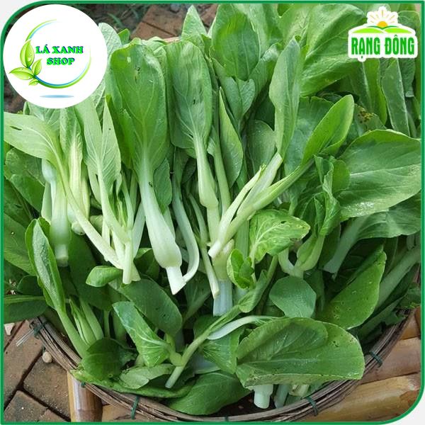 Hạt giống Cải Thìa Cọng Xanh (Cải Chip) Chịu Nhiệt, Dễ Trồng (gói 20 gram) - Hạt giống Rạng Đông