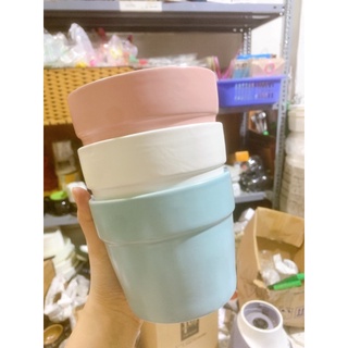 Chậu sứ trồng cây màu pastel
