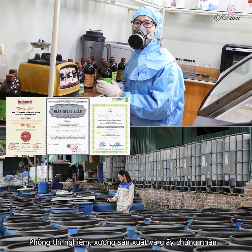 Chế phẩm sinh học Doctor phòng ngừa nấm bệnh cho hoa hồng, giấy, lan, cây cảnh, sen đá, dâu tây