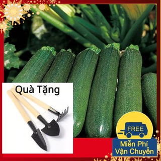 Hạt Giống Bí Ngòi Xanh F1 Tặng Bộ Dụng Cụ Mini Trồng Cây Tặng Bộ Dụng Cụ Mini Trồng Cây