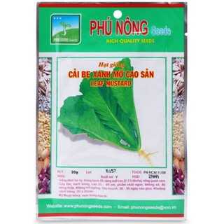 Hạt giống cải bẹ xanh mỡ phú nông